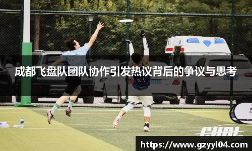 成都飞盘队团队协作引发热议背后的争议与思考